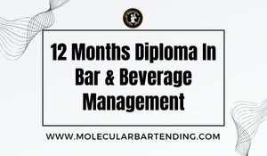 12 Months Diploma In Bar & Beverage Management