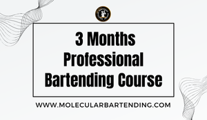 3 Months Professional Bartending Course