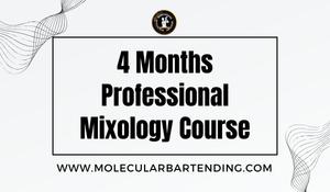 4 Months Professional Mixology Course