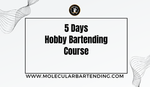 5 Days Hobby Bartending Course