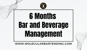 6 Months Bar and Beverage Management