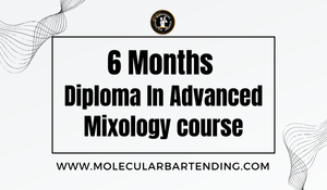 6 Months Diploma In Advanced Mixology