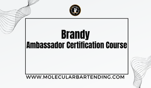 Brandy Ambassador Certification Course