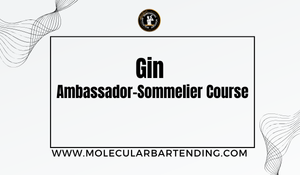 Gin Ambassador - Sommelier Course