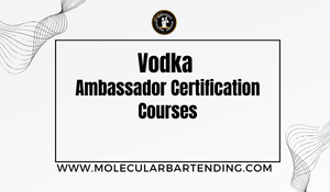 Vodka Ambassador Certification Course